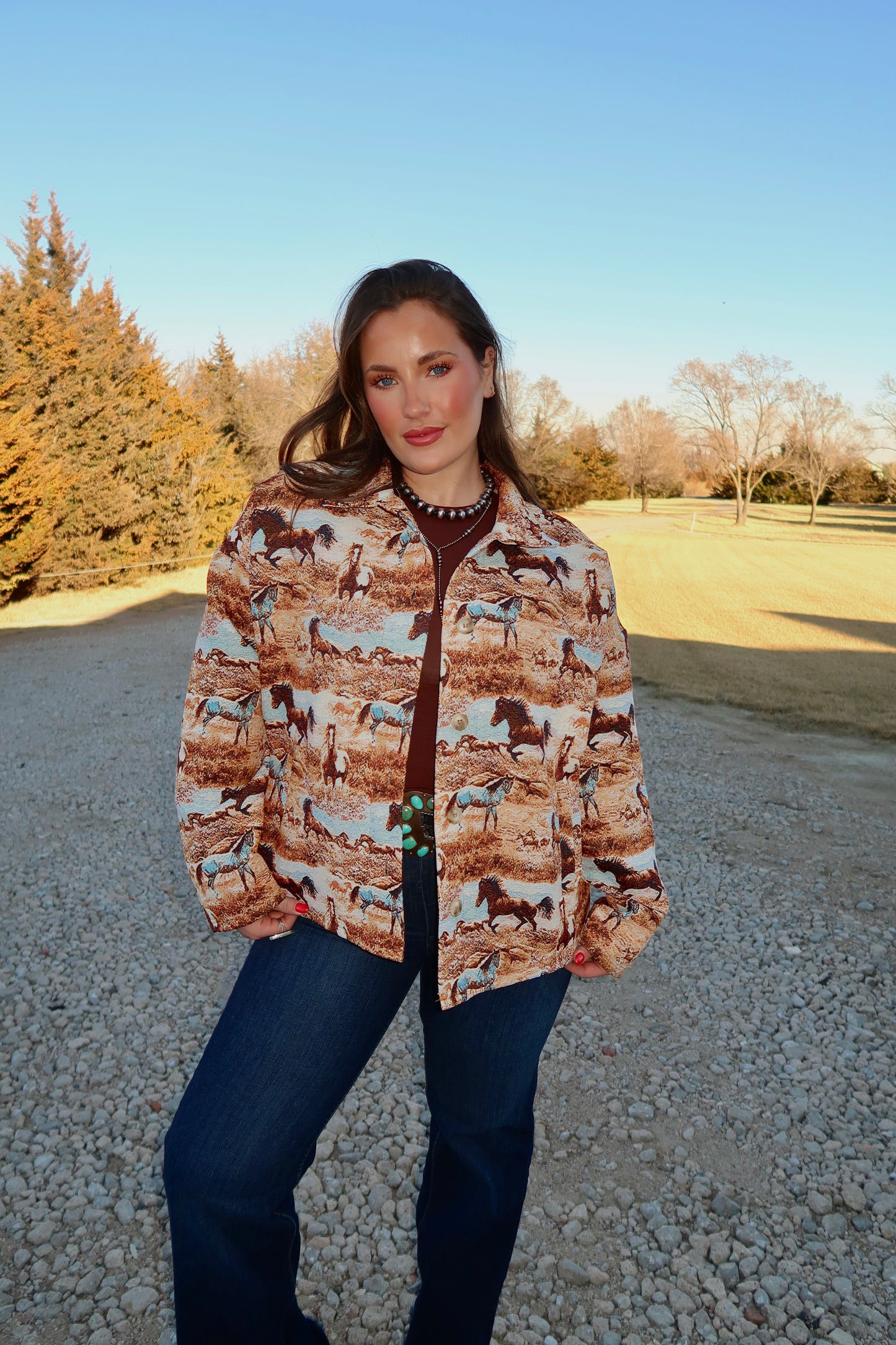 WESTERN JACQUARD JACKET