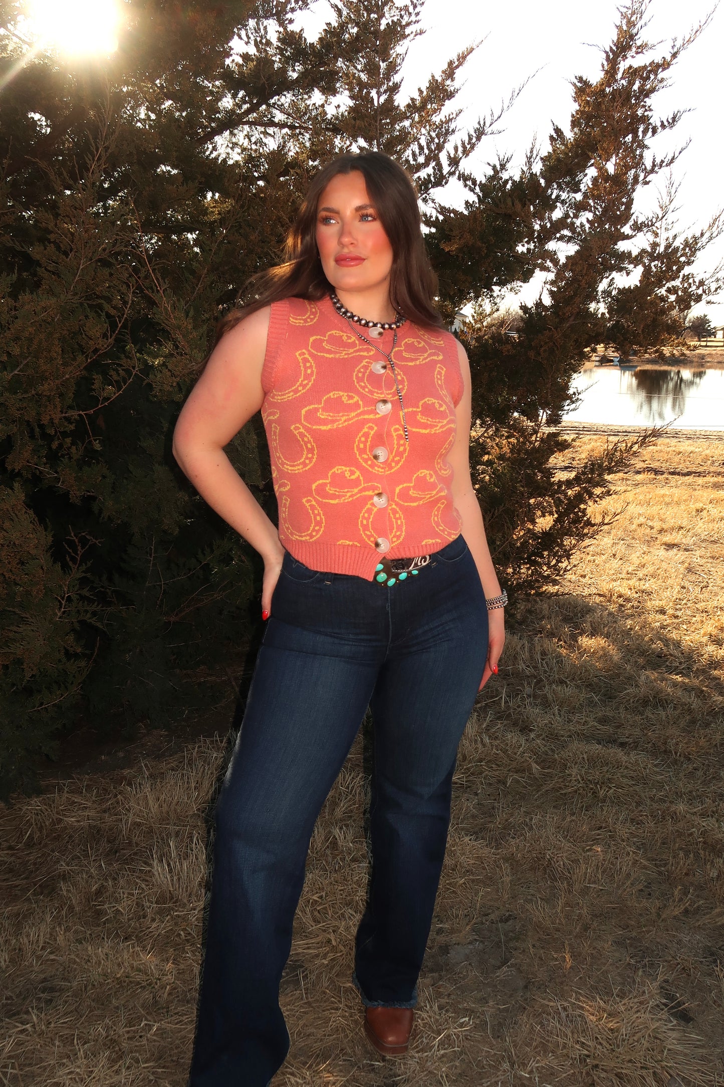 WESTERN PRINT SWEATER VEST